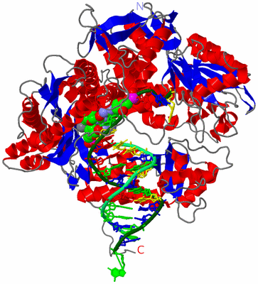 Image Asym./Biol. Unit