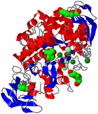 Image Asym./Biol. Unit