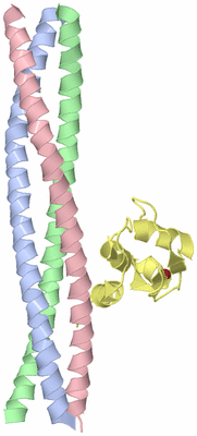 Image Asymmetric Unit