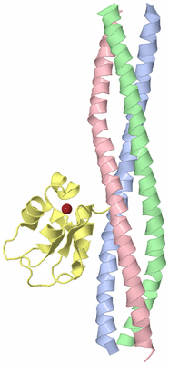 Image Biological Unit 2