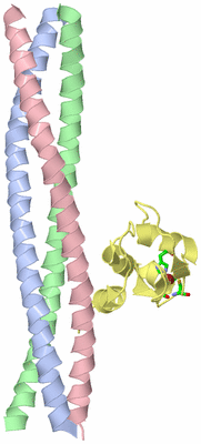 Image Asym. Unit - sites