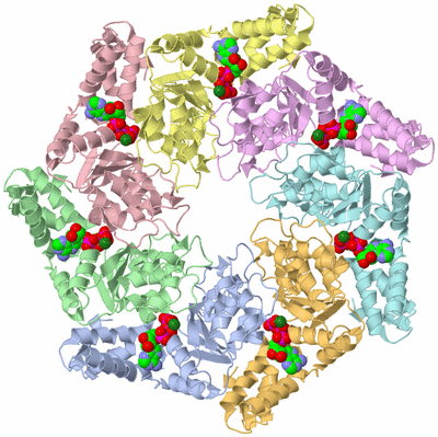 Image Asym./Biol. Unit
