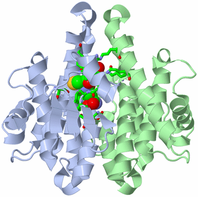 Image Asym./Biol. Unit - sites