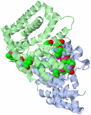 Image Asym./Biol. Unit