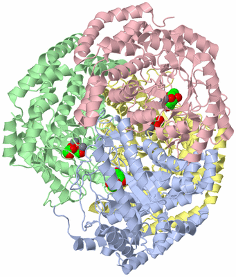 Image Asym./Biol. Unit