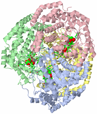 Image Asym./Biol. Unit - sites