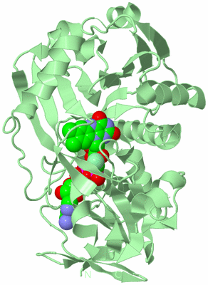 Image Biological Unit 2