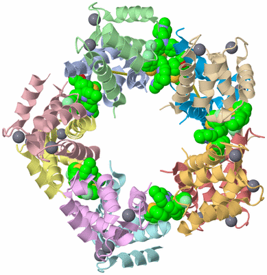 Image Biological Unit 1