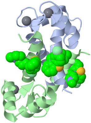 Image Biological Unit 2