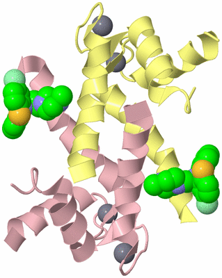 Image Biological Unit 3