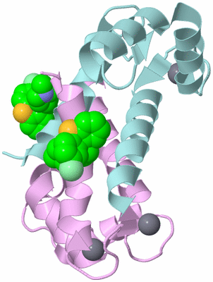 Image Biological Unit 4