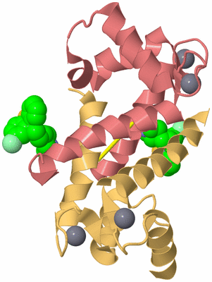 Image Biological Unit 5