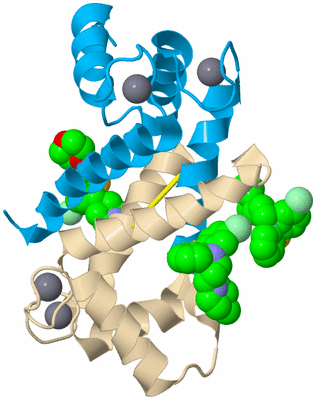 Image Biological Unit 6