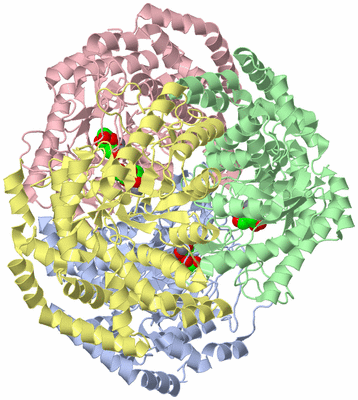 Image Asym./Biol. Unit