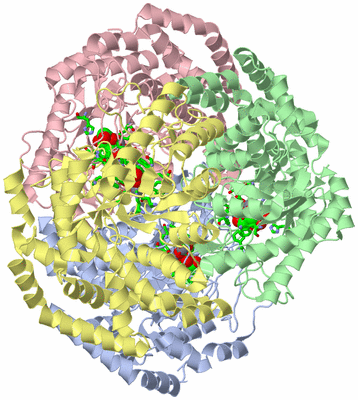 Image Asym./Biol. Unit - sites