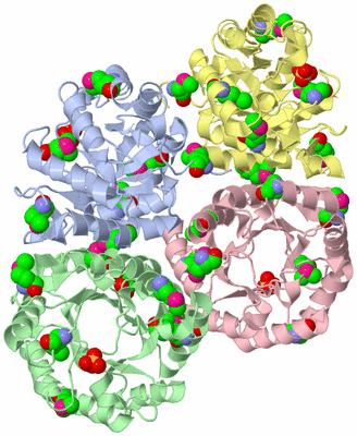 Image Asym./Biol. Unit