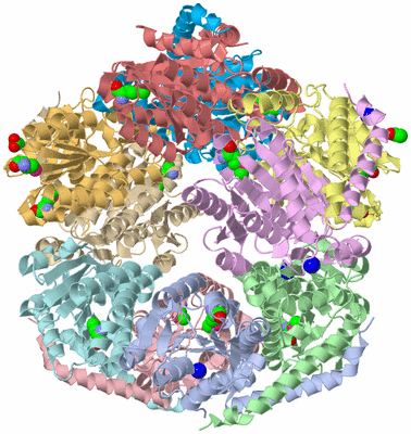 Image Biological Unit 1