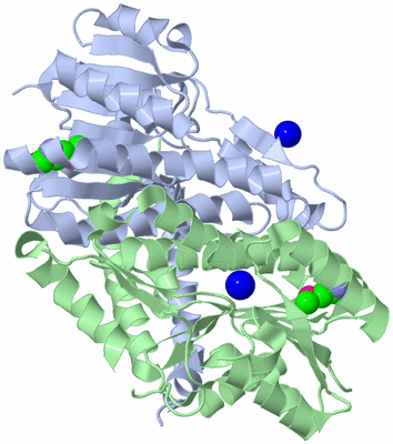 Image Biological Unit 2