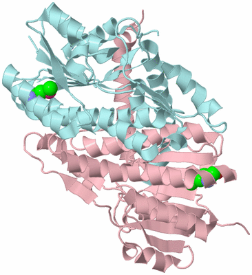 Image Biological Unit 3