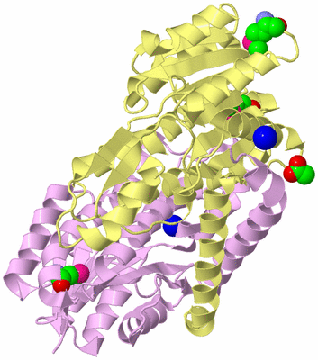 Image Biological Unit 4