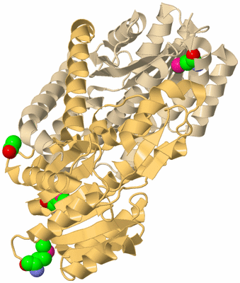 Image Biological Unit 5