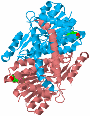 Image Biological Unit 6