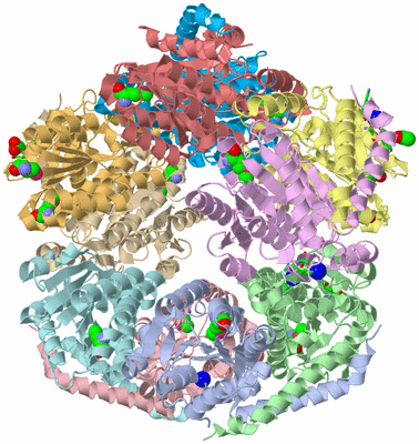 Image Asym. Unit - sites