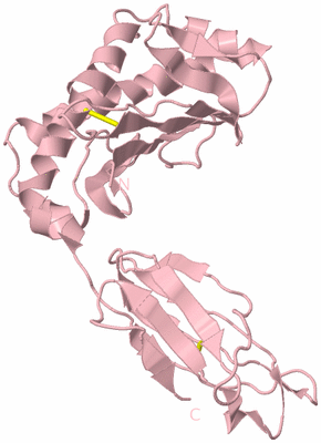 Image Biological Unit 3