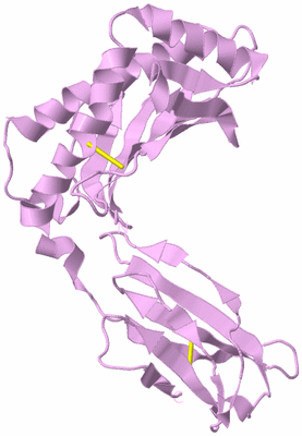 Image Biological Unit 5