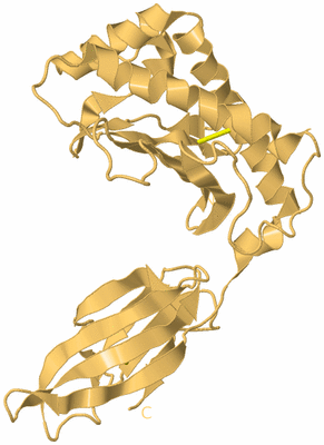 Image Biological Unit 7