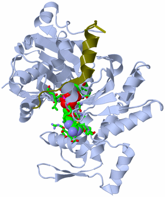 Image Asym./Biol. Unit - sites