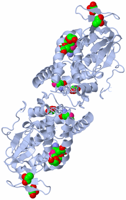 Image Biological Unit 1