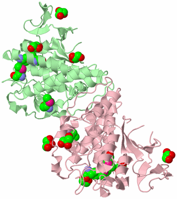 Image Biological Unit 2