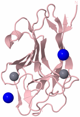 Image Biological Unit 3