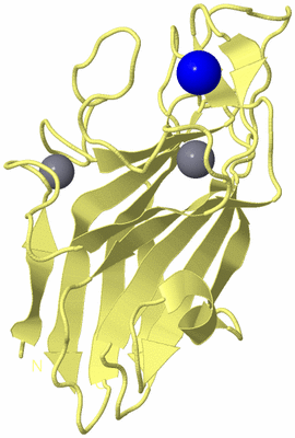 Image Biological Unit 4