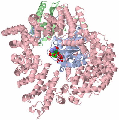 Image Asym./Biol. Unit