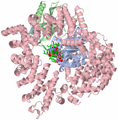 Image Asym./Biol. Unit - sites