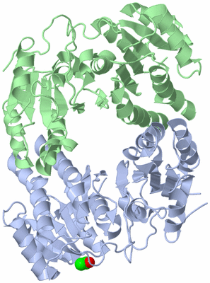 Image Asym./Biol. Unit