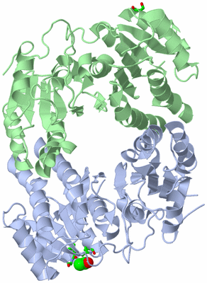 Image Asym./Biol. Unit - sites