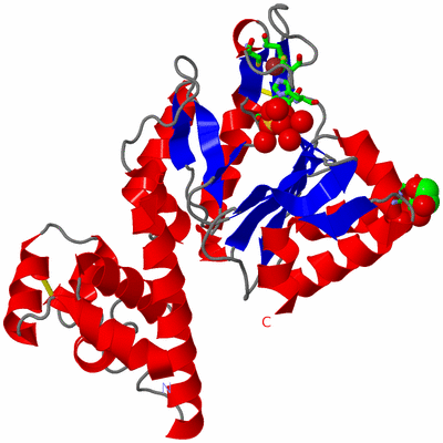 Image Asym./Biol. Unit - sites