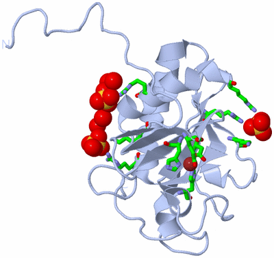 Image Biol. Unit 1 - sites