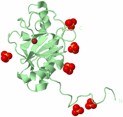 Image Biological Unit 2