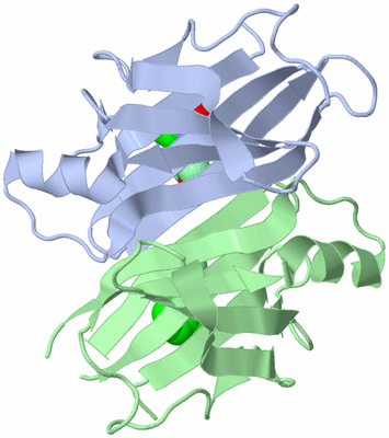 Image Asymmetric Unit