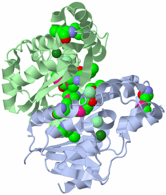 Image Biological Unit 1