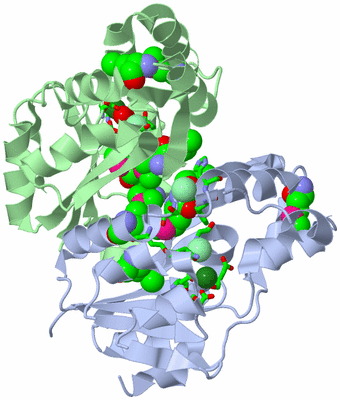 Image Biol. Unit 1 - sites