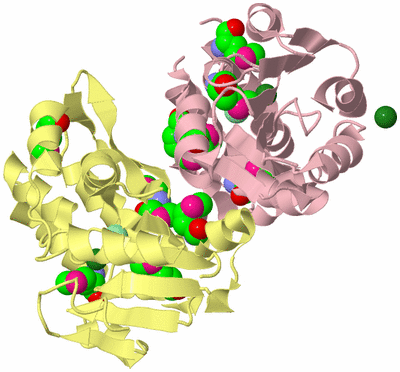 Image Biological Unit 2