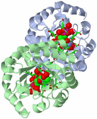 Image Asym./Biol. Unit - sites