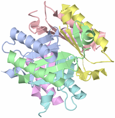 Image Asym./Biol. Unit