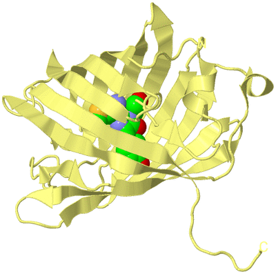 Image Biological Unit 4