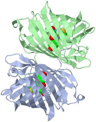 Image Biological Unit 5